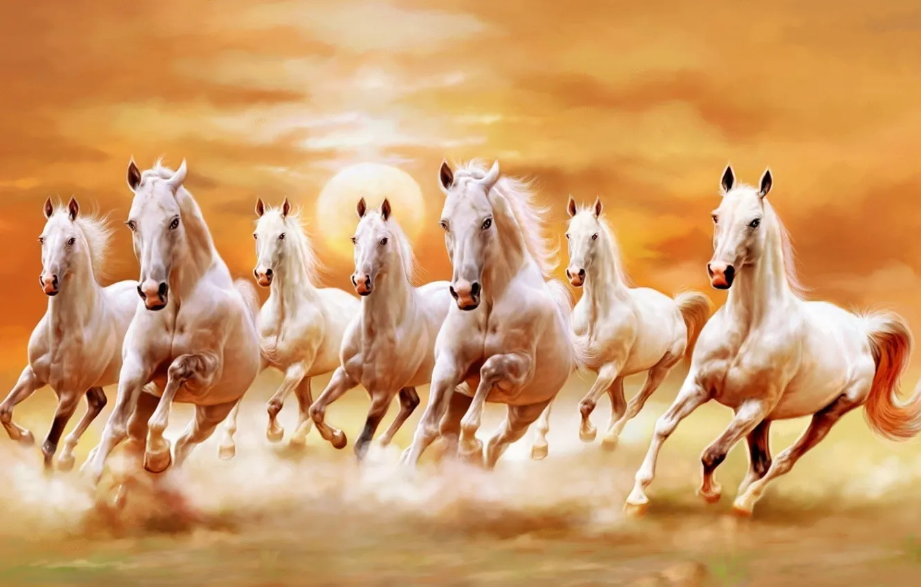 Photo wallpaper sun, horses, animal, horse, run