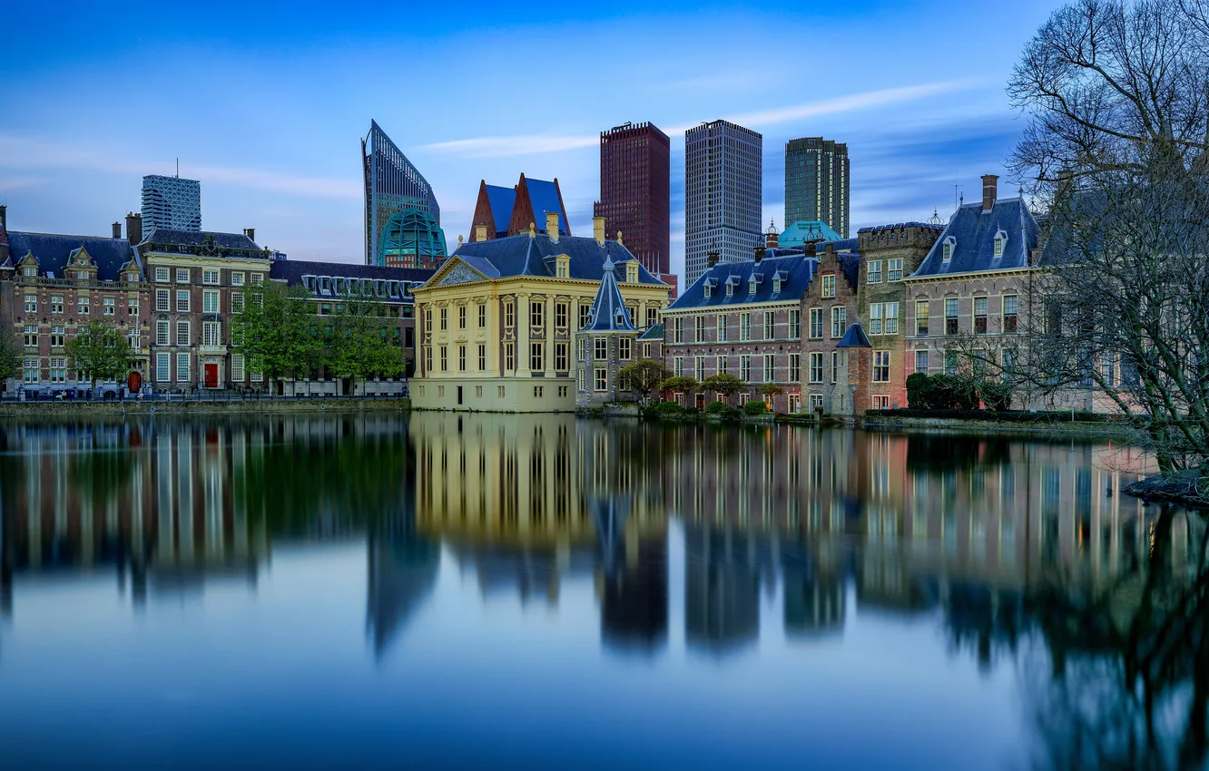 Photo wallpaper pond, reflection, home, Netherlands, The Hague