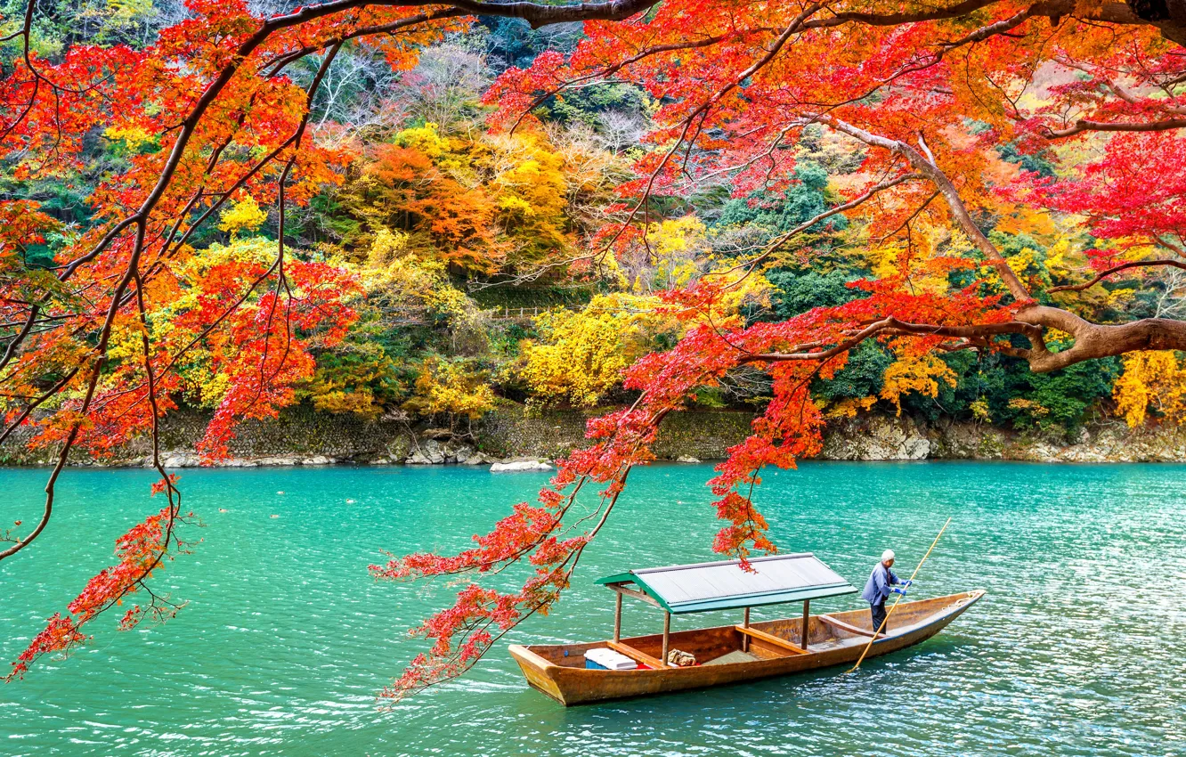 Photo wallpaper autumn, leaves, trees, Park, Japan, Kyoto, nature, park