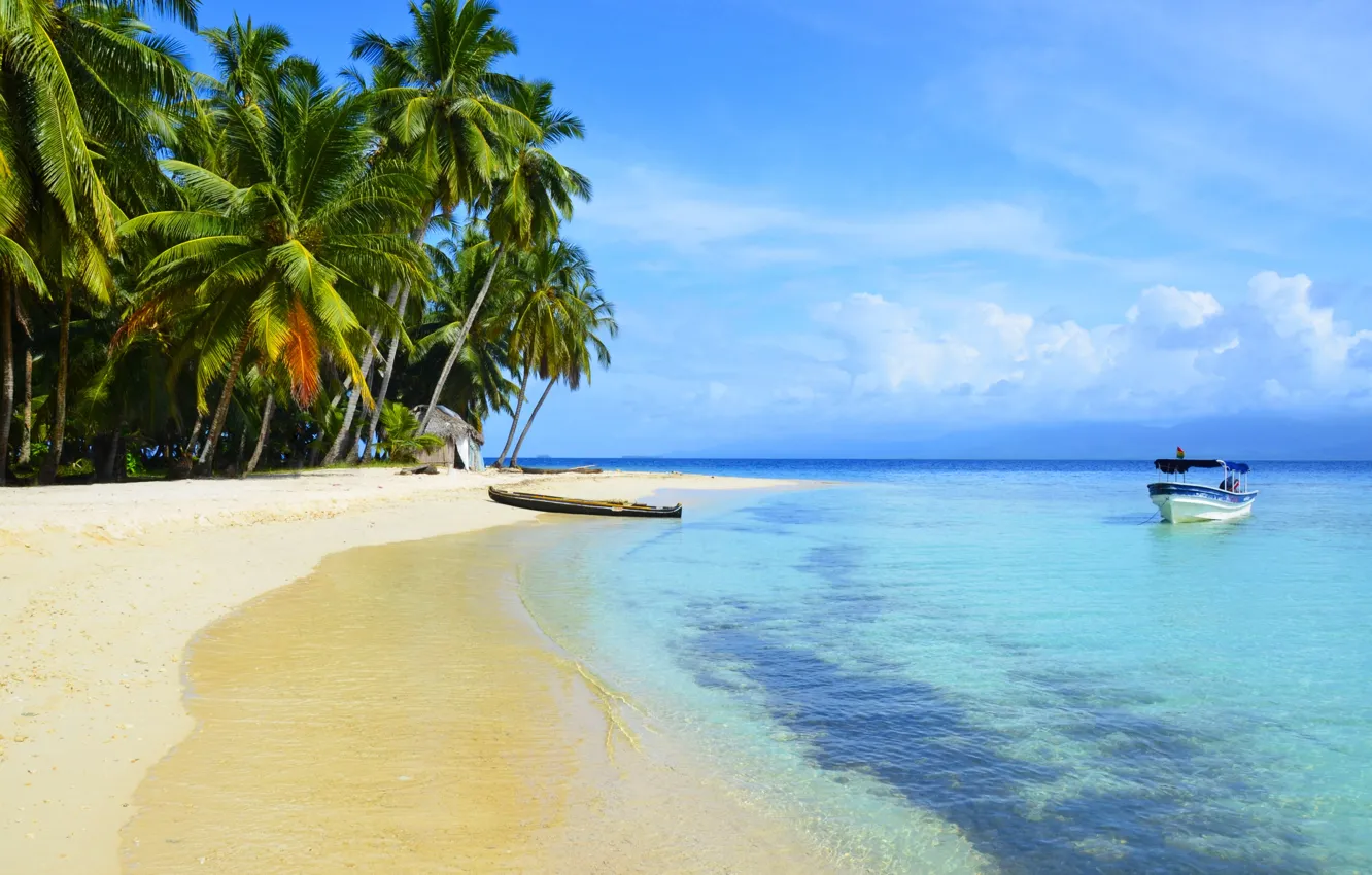 Photo wallpaper sea, beach, tropics, palm trees, boat