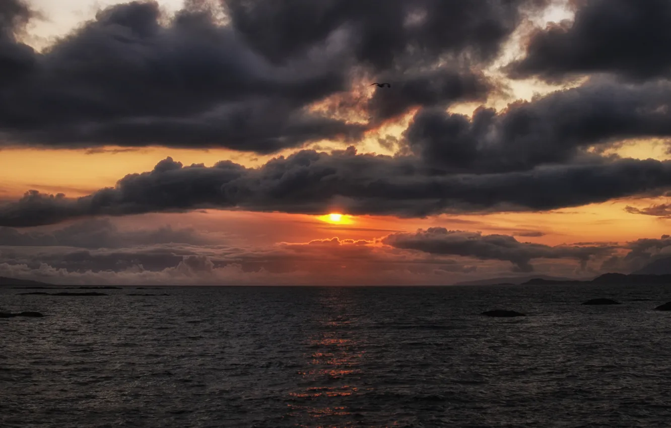 Photo wallpaper sea, the sky, the sun, flight, sunset, orange, clouds, the ocean