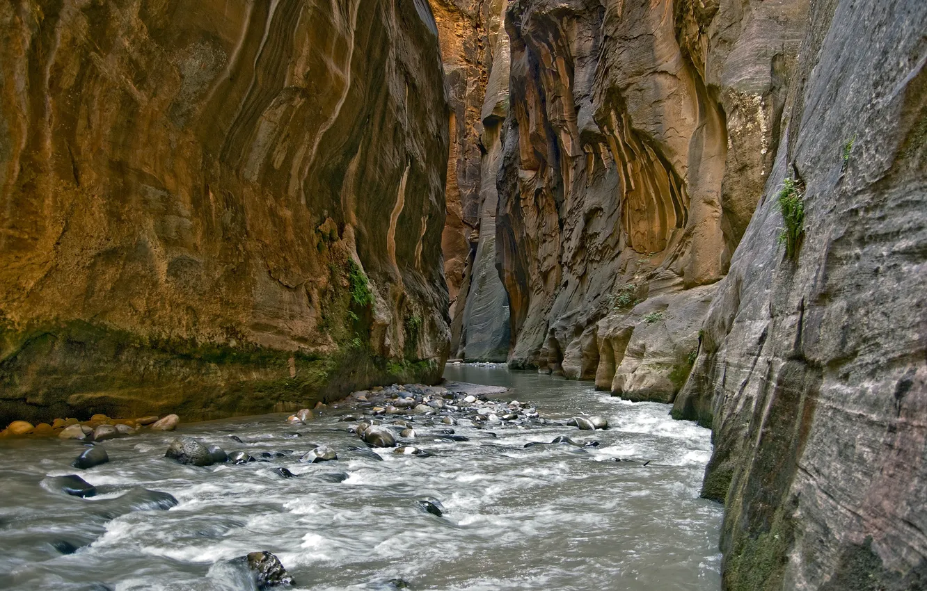 Photo wallpaper water, river, stones, Mountains, canyon