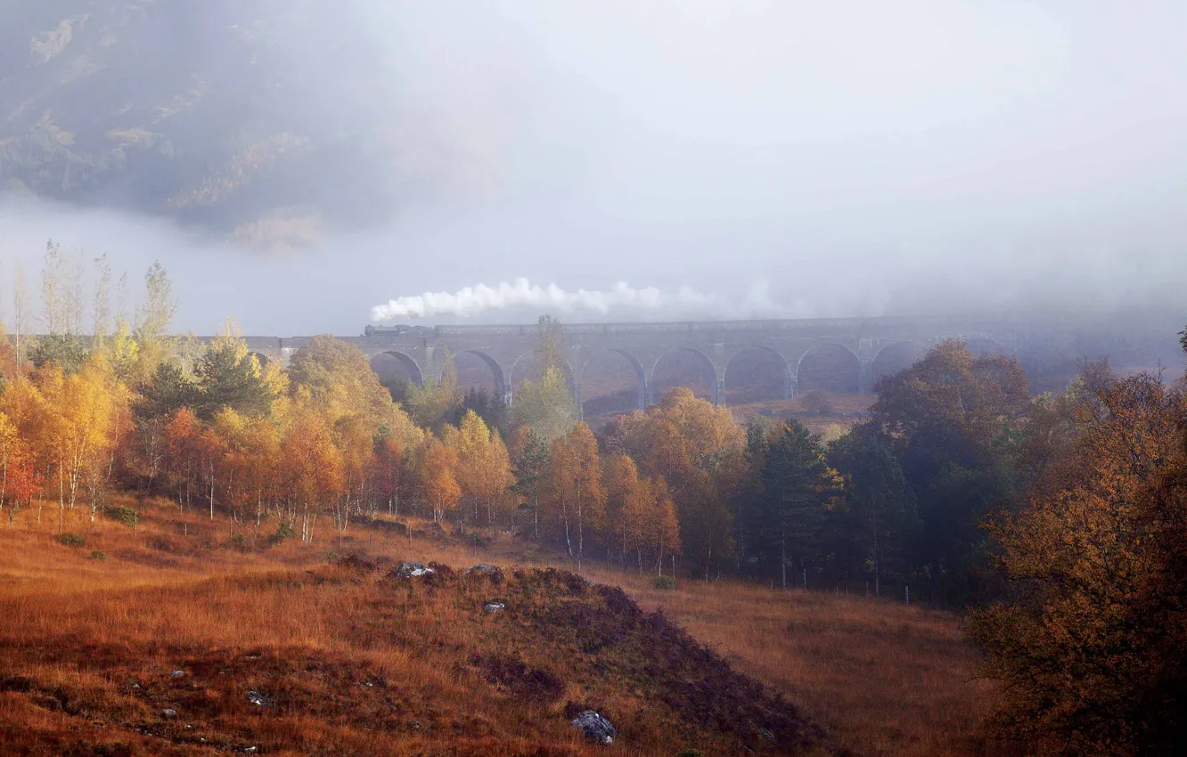 Photo wallpaper autumn, forest, trees, fog, train, haze