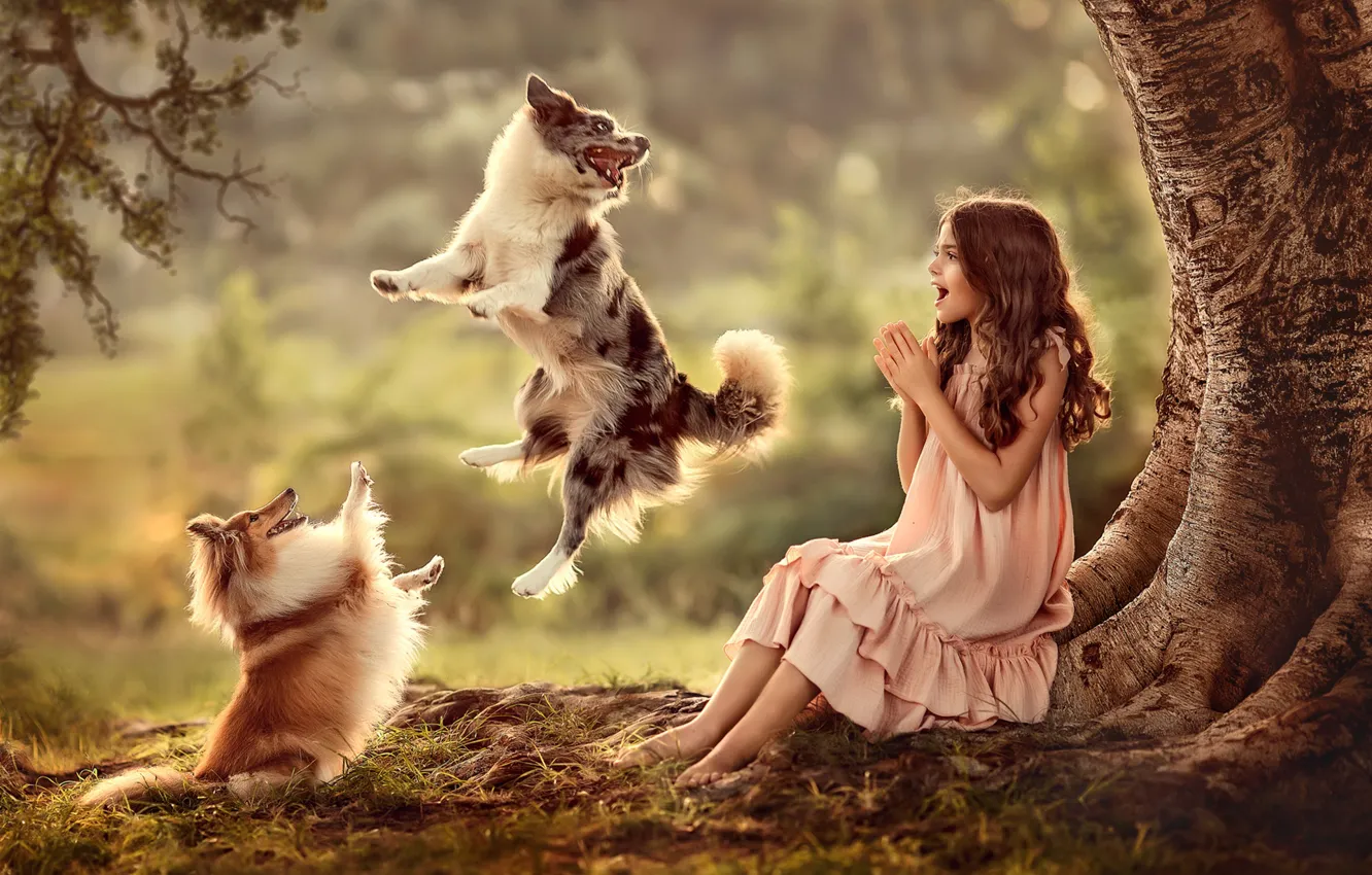 Photo wallpaper the game, dog, girl