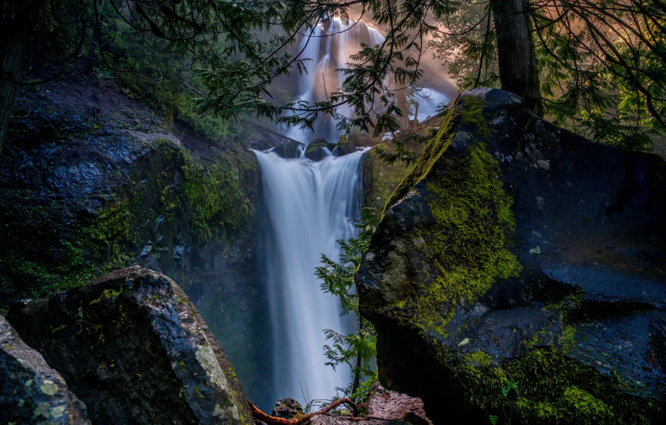 Photo wallpaper forest, rocks, waterfalls, cascade, Columbia River Gorge, Falls Creek Falls, Gifford Pinchot National Forest, Washington …