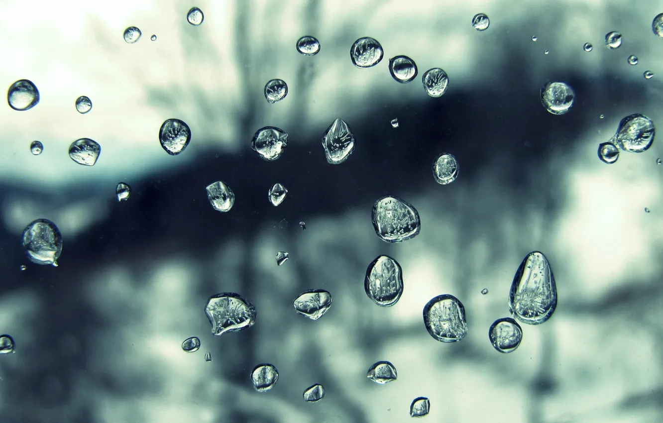 Photo wallpaper water, drops, macro, rain, texture
