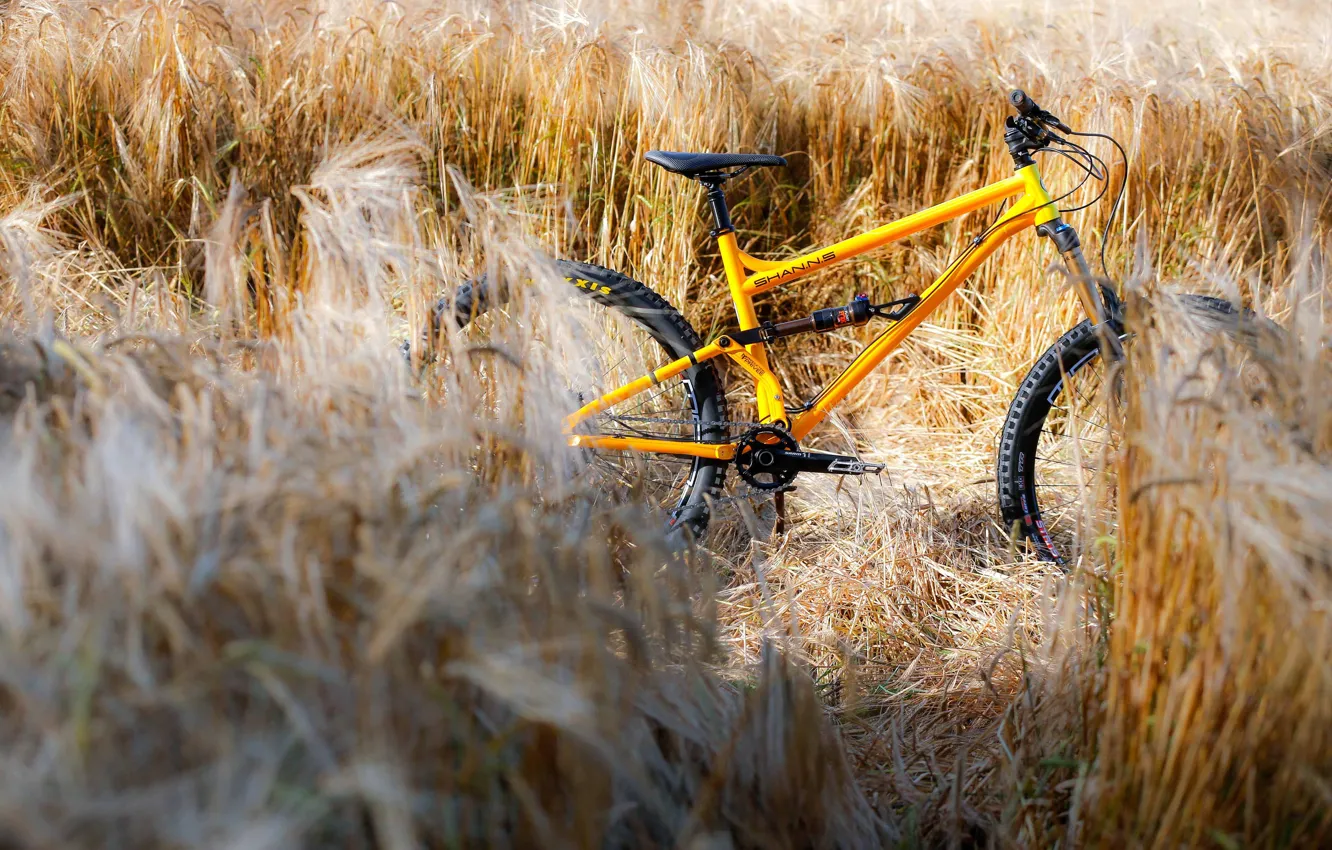 Photo wallpaper field, sport, mountain bike, mountain bike