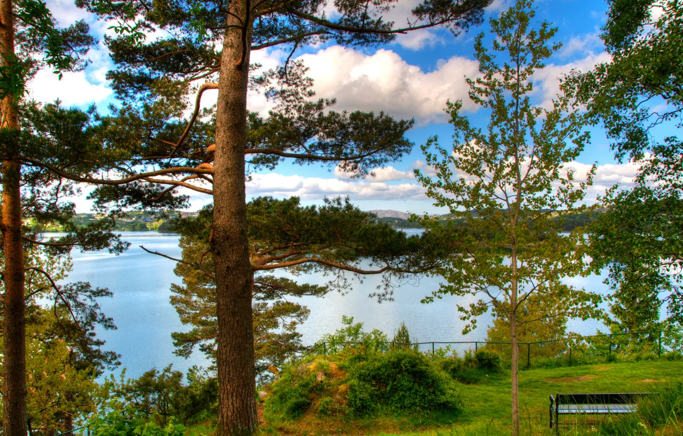 Photo wallpaper sea, forest, trees, Park, bench, Norway, norway