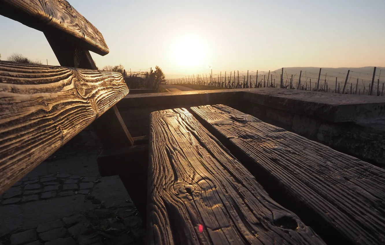 Photo wallpaper the sky, bench, the sun