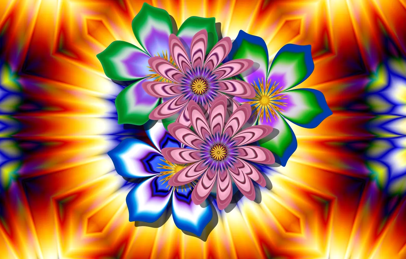 Photo wallpaper flower, light, pattern, petals