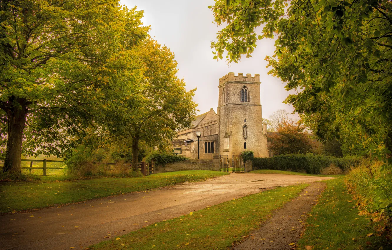 Photo wallpaper road, autumn, trees, castle, foliage, view, crown