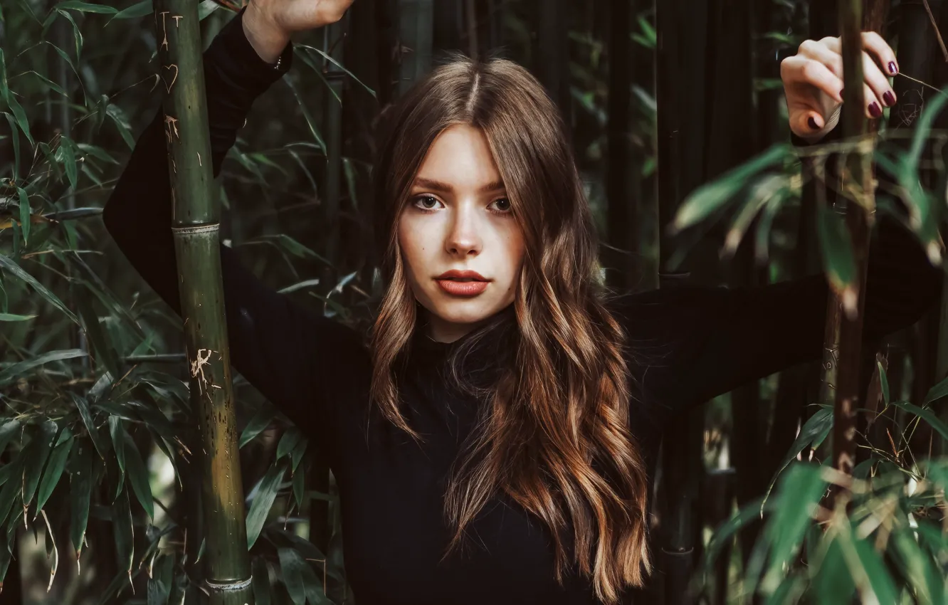 Photo wallpaper look, pose, model, portrait, hands, bamboo, brown hair, beauty