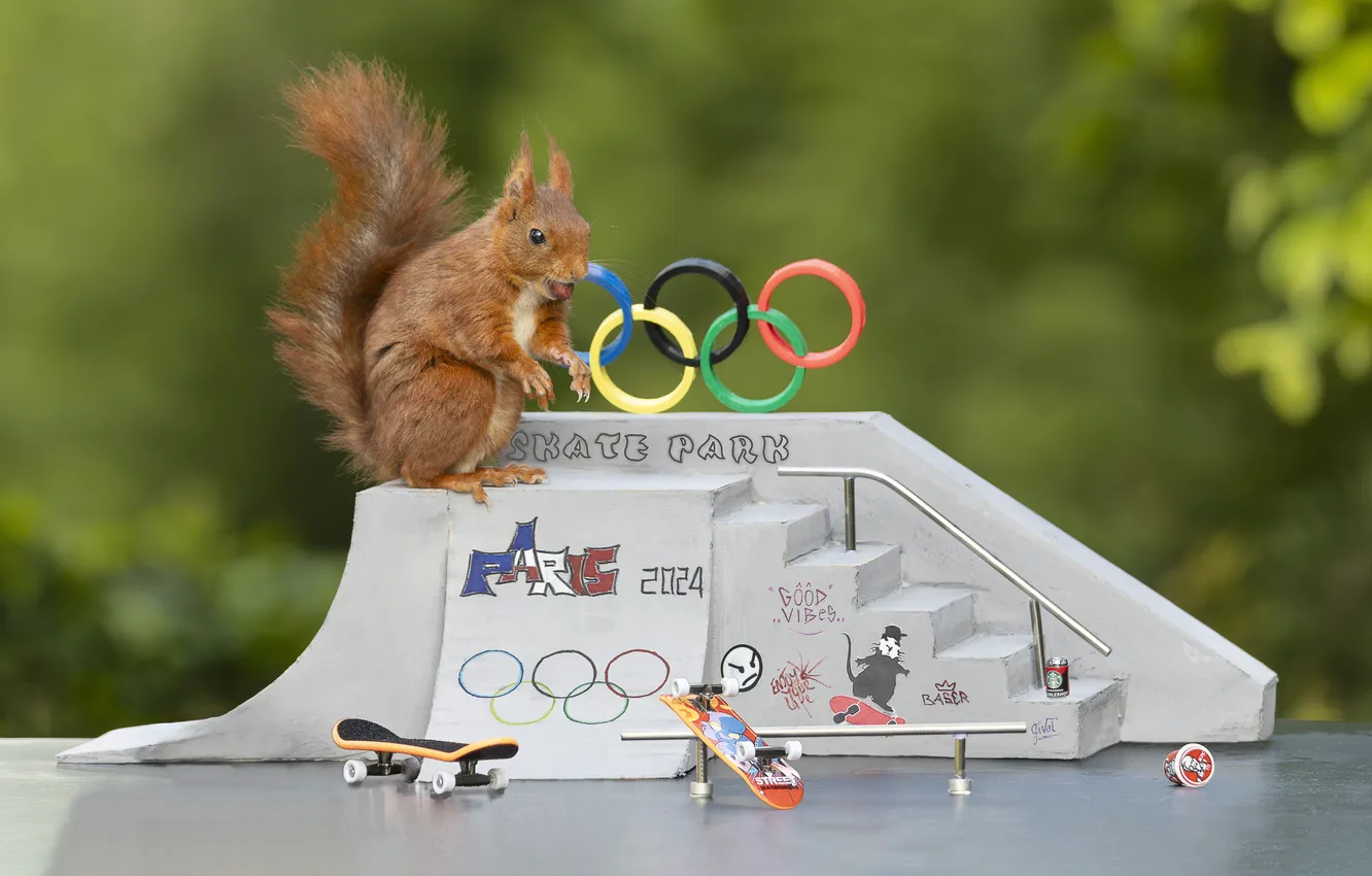 Photo wallpaper the inscription, Paris, ring, protein, Olympics, ladder, stage, symbol