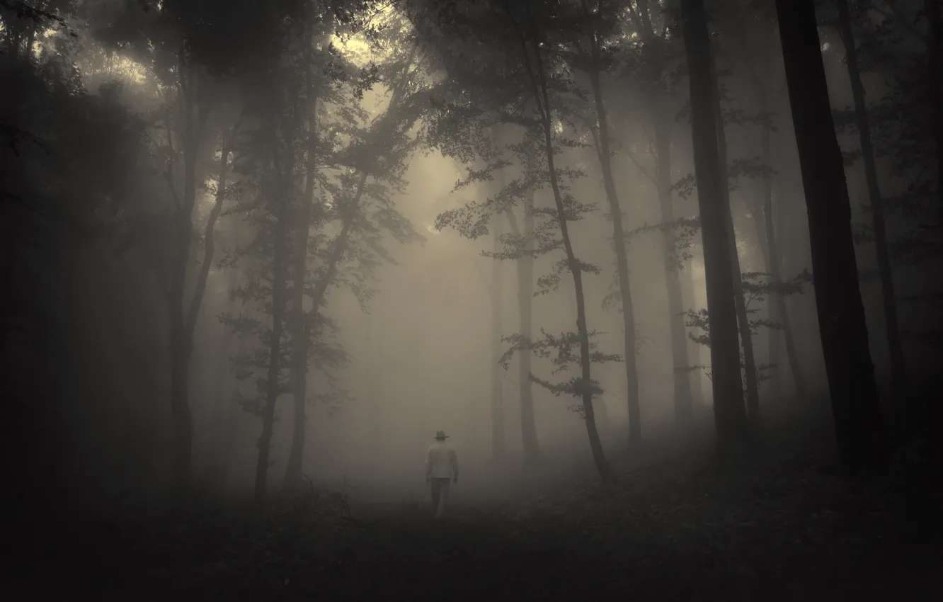 Photo wallpaper road, sadness, forest, trees, landscape, nature, forest, misty