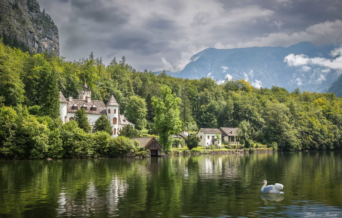 Photo wallpaper forest, rock, lake, castle, bird, Austria, Swan, Austria