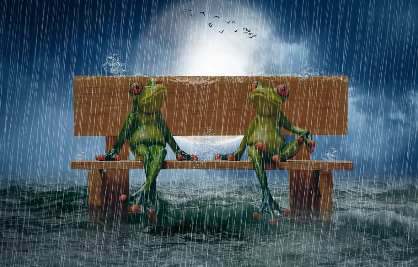 Photo wallpaper sea, bench, rain, The moon, photo manipulation, puppet, birds in the sky, frogs