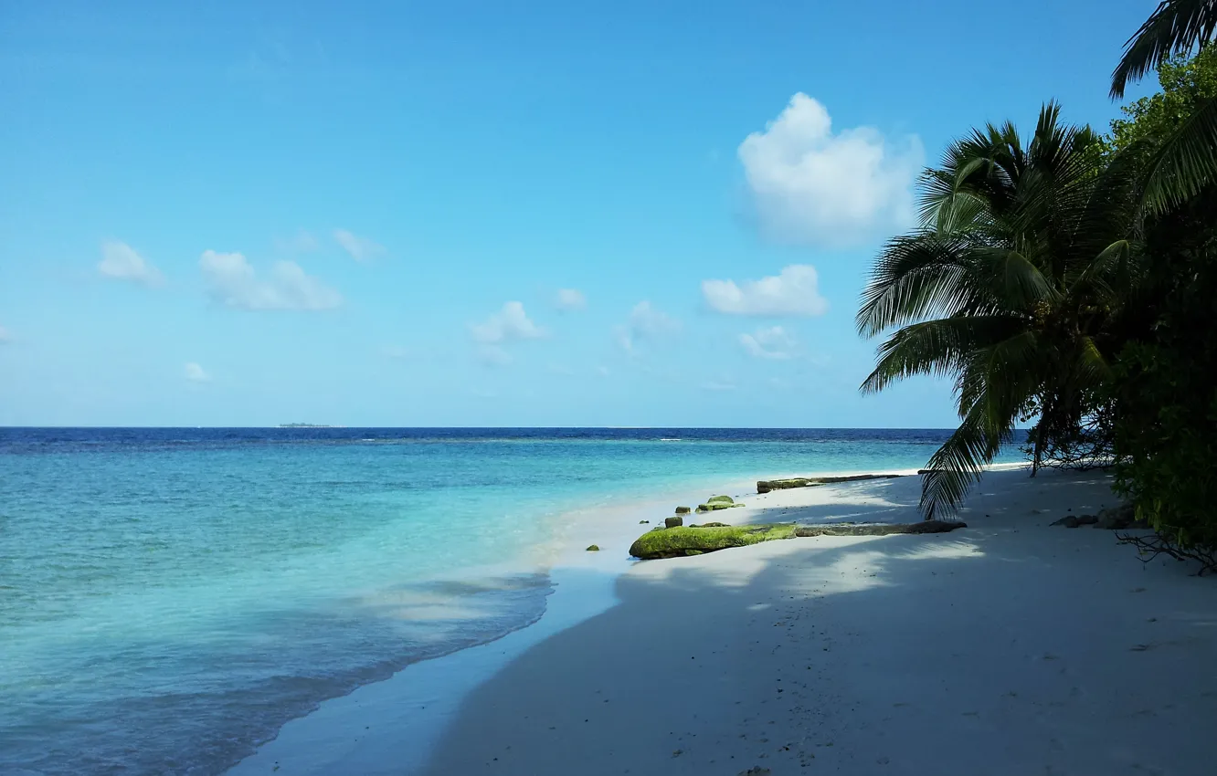 Photo wallpaper sea, beach, Maldives, Paradise