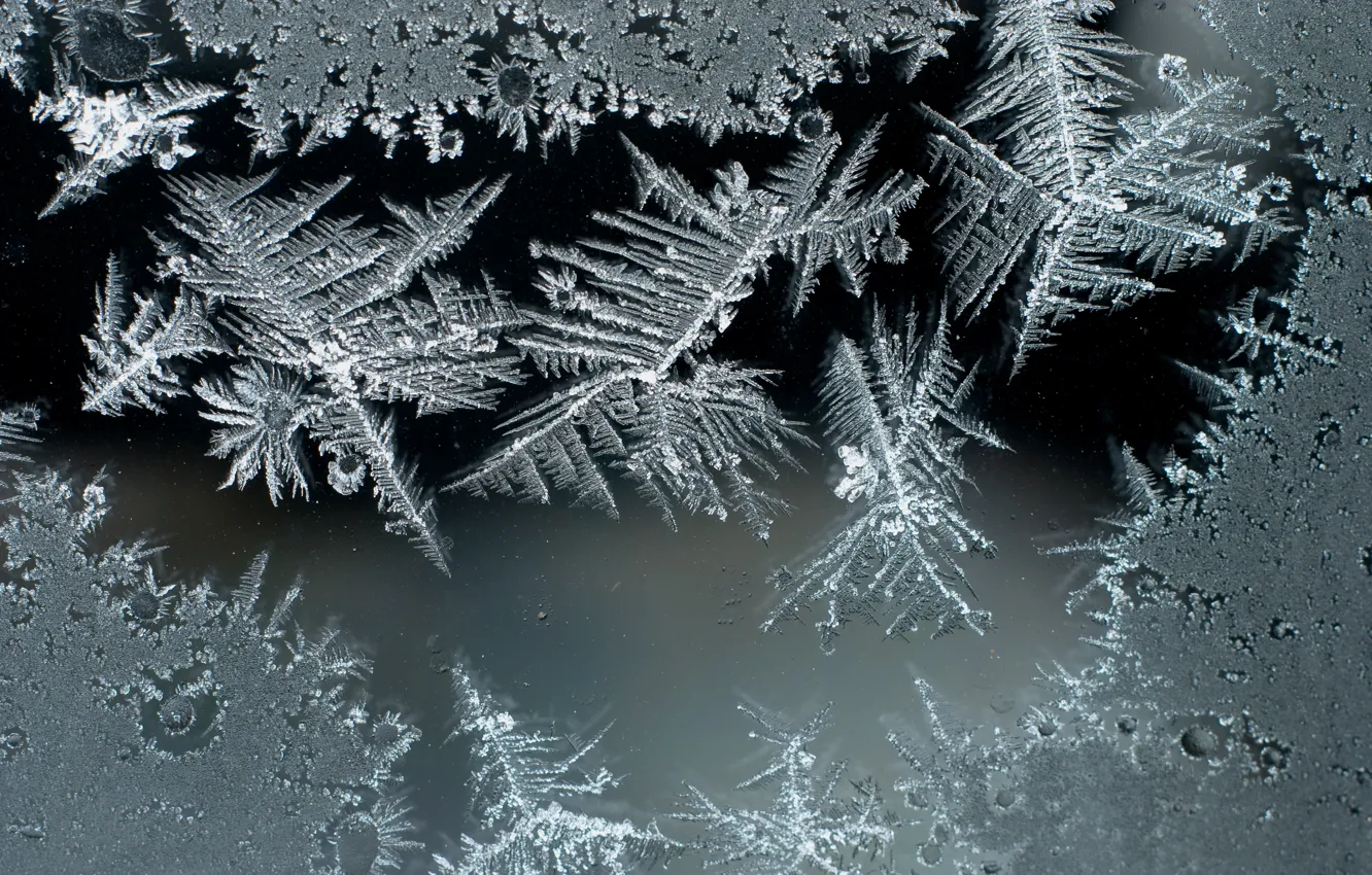 Photo wallpaper frost, glass, frost