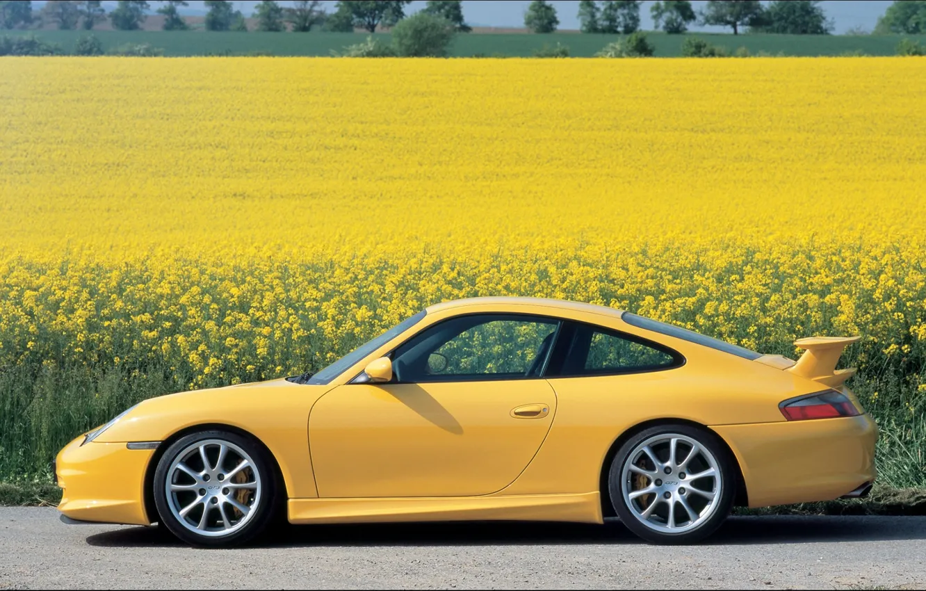 Photo wallpaper flowers, yellow, 911, Porsche, Porsche, GT3