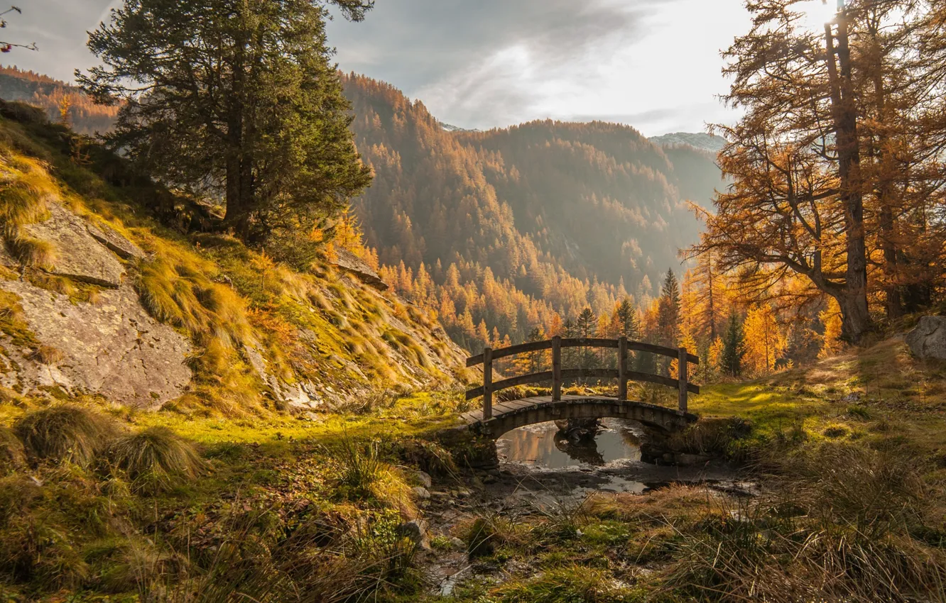 Photo wallpaper autumn, forest, mountains, nature, the bridge