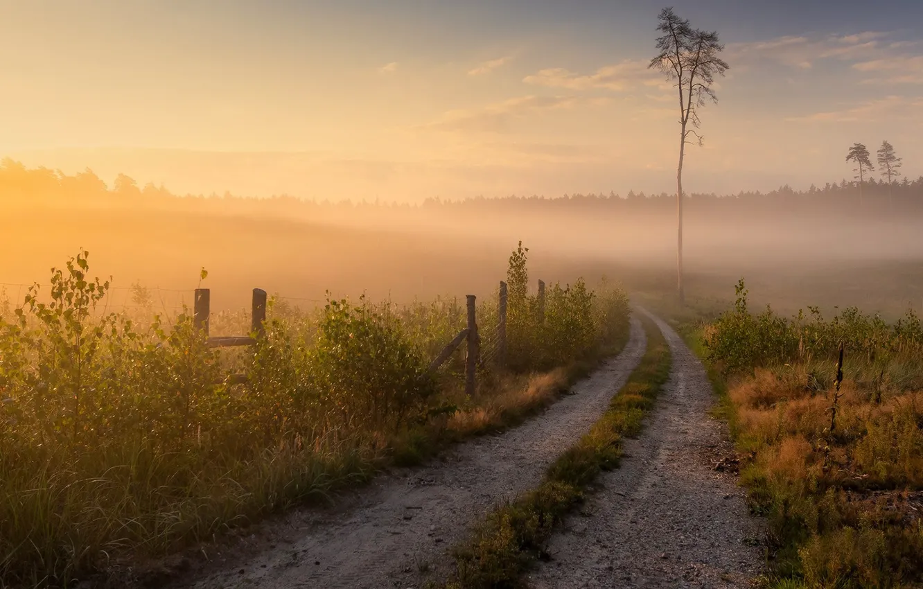 Photo wallpaper fog, Wallpaper, morning, Lukasz Sokol