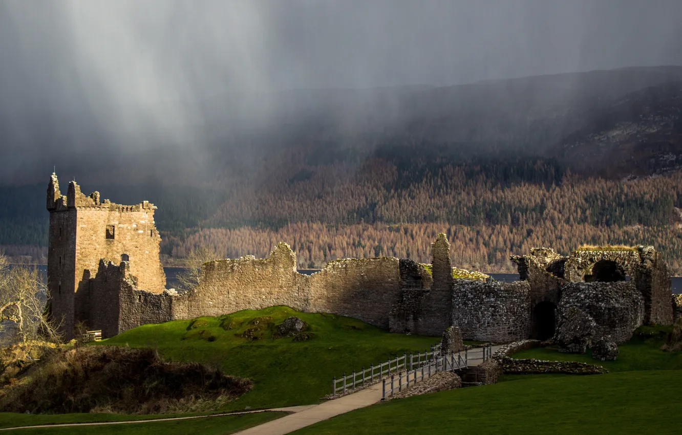 Photo wallpaper forest, mountains, lake, rain, overcast, Scotland, ruins, Urquhart castle