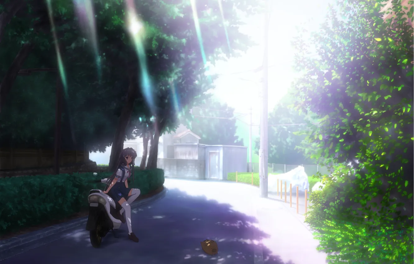 Photo wallpaper summer, rays, street, wire, foliage, stockings, motorcycle, clannad