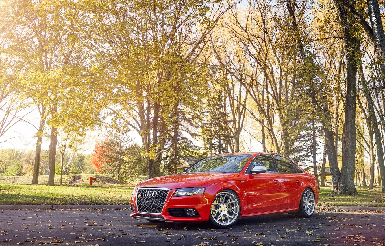 Photo wallpaper Park, Audi, Audi, red, red