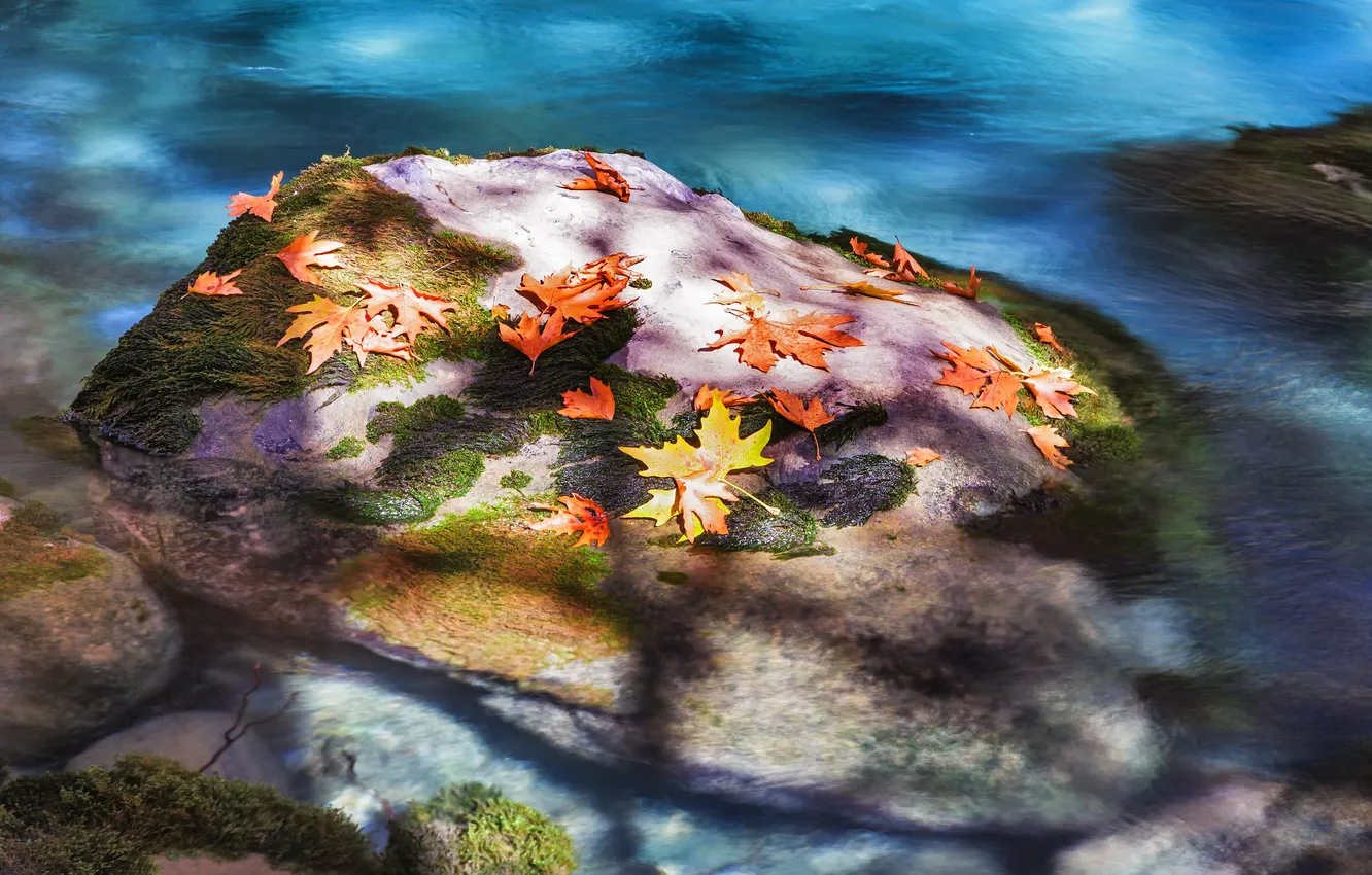 Photo wallpaper autumn, leaves, river, stones