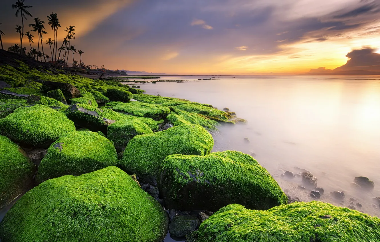Photo wallpaper landscape, sunset, stones, moss