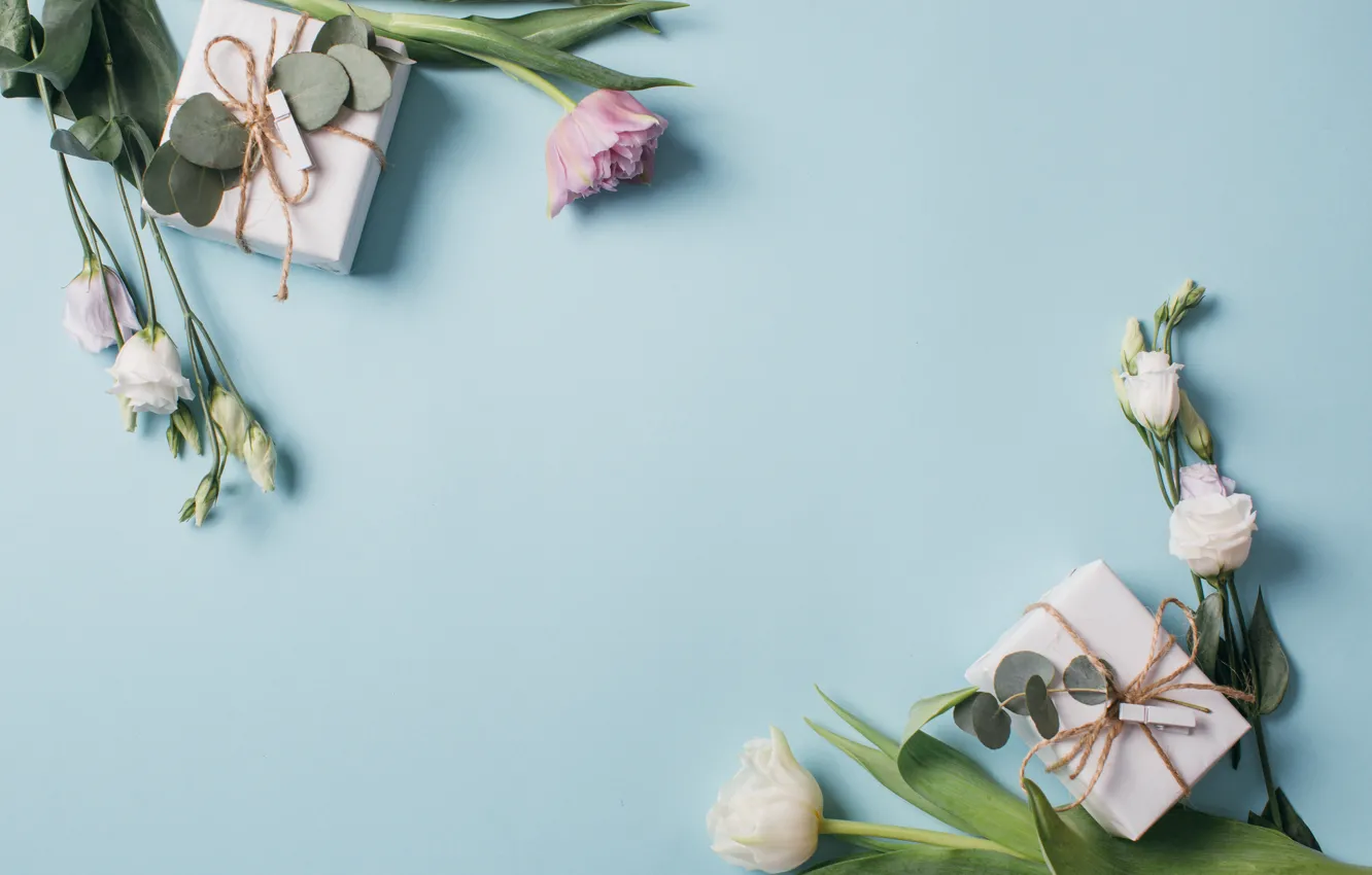 Photo wallpaper flowers, gift, tulips, pink, white, white, fresh, pink
