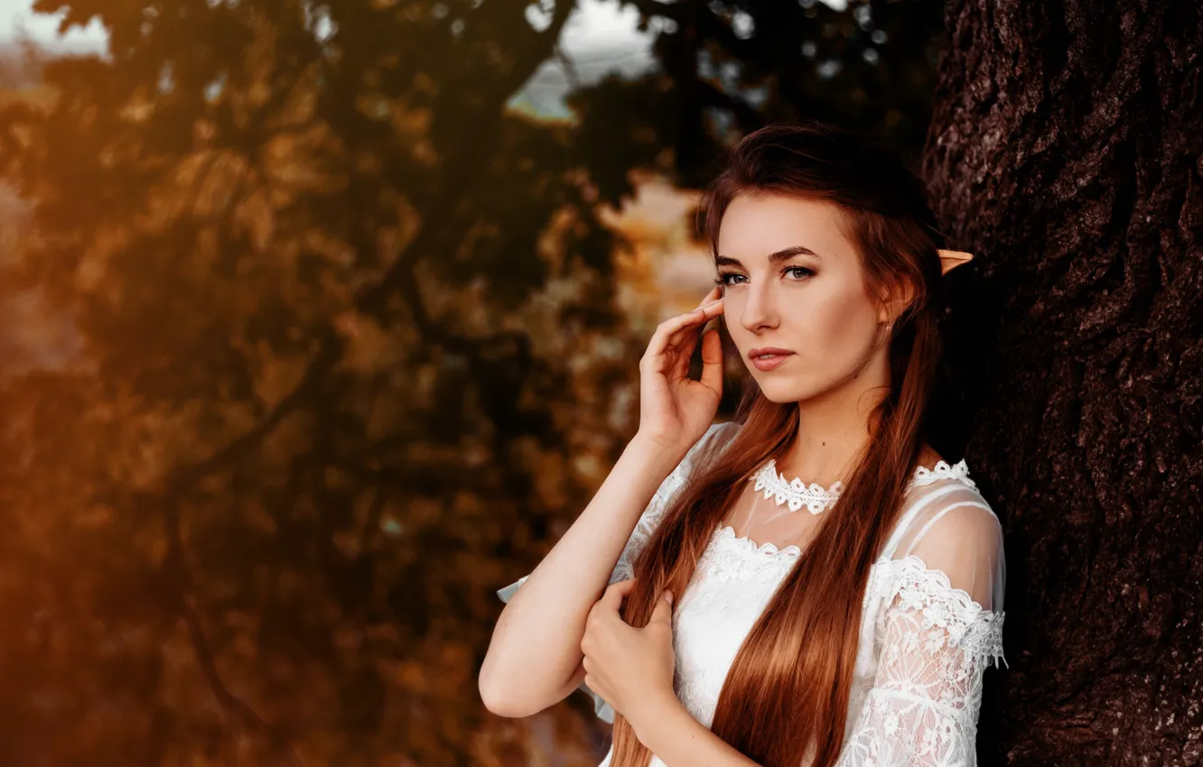 Photo wallpaper look, girl, trees, nature, hair, elf, bokeh