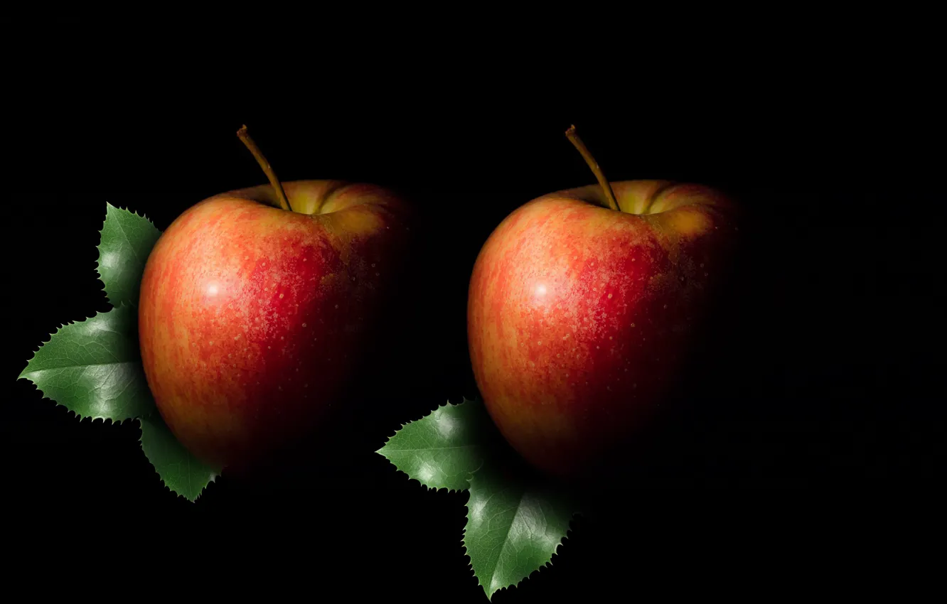 Photo wallpaper apple, fruit, silhouette