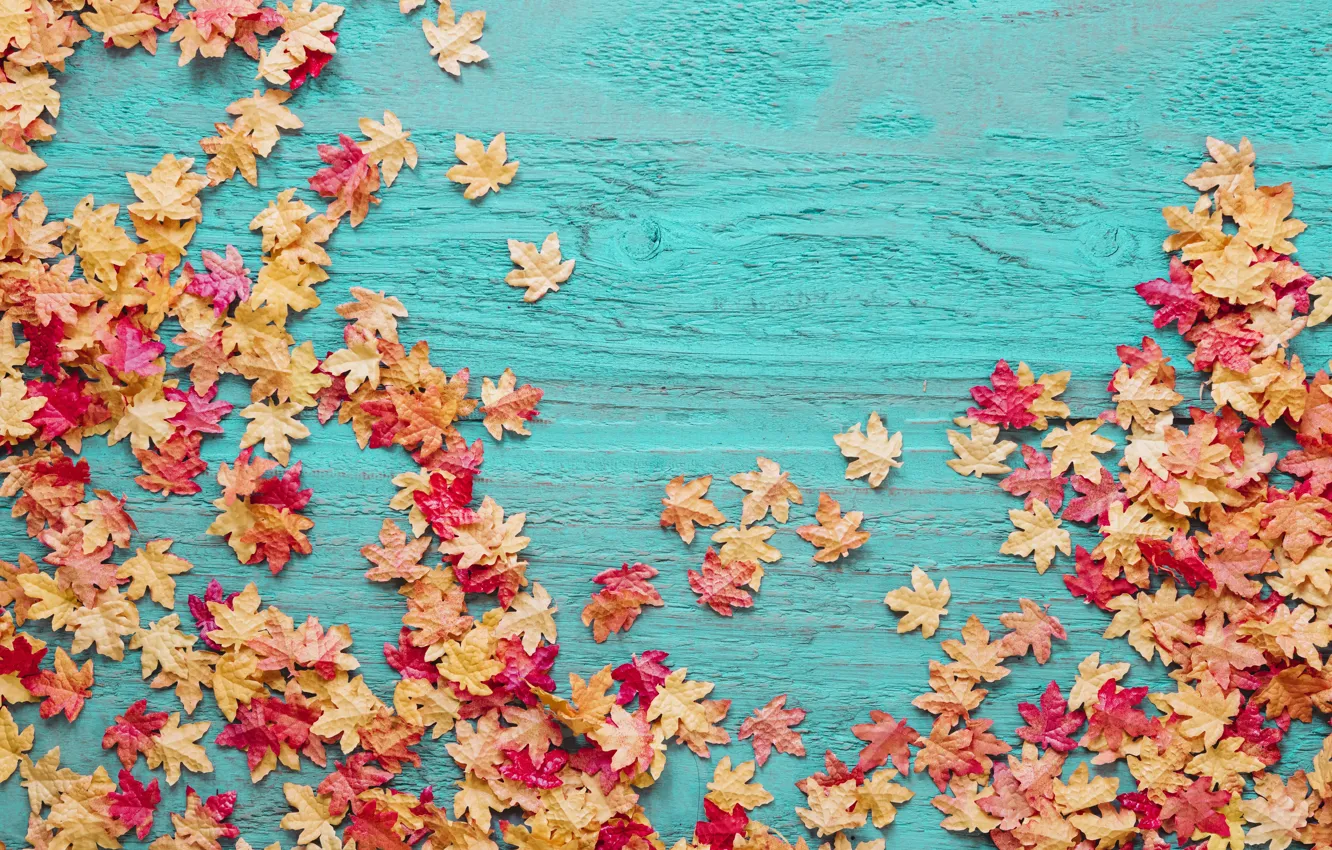 Photo wallpaper autumn, leaves, trees, background, colorful, wood, background, autumn