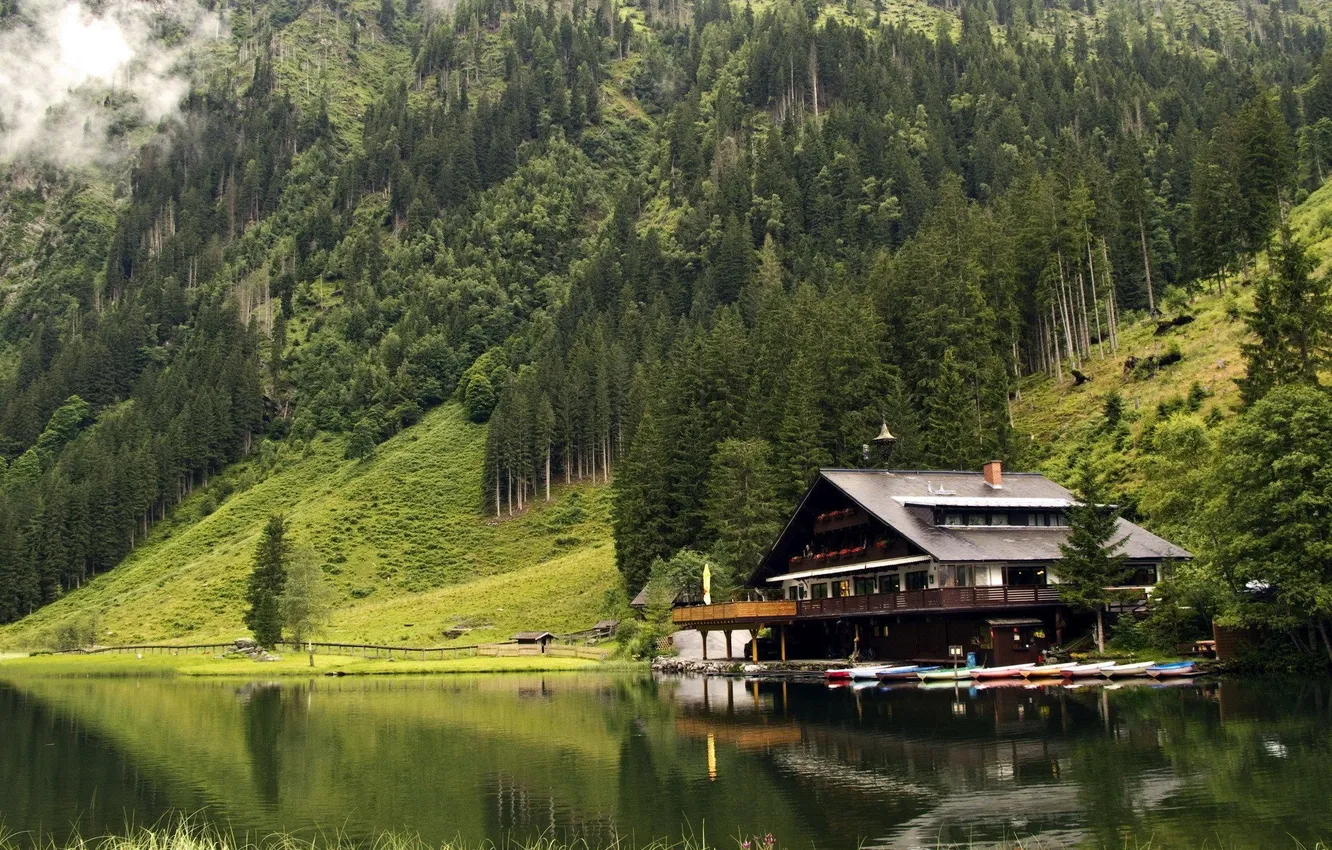 Photo wallpaper forest, the sky, grass, clouds, trees, landscape, mountains, nature