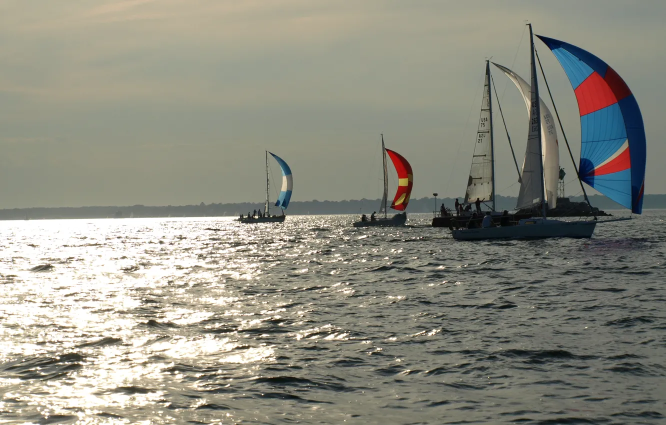 Photo wallpaper sport, yacht, sail, regatta