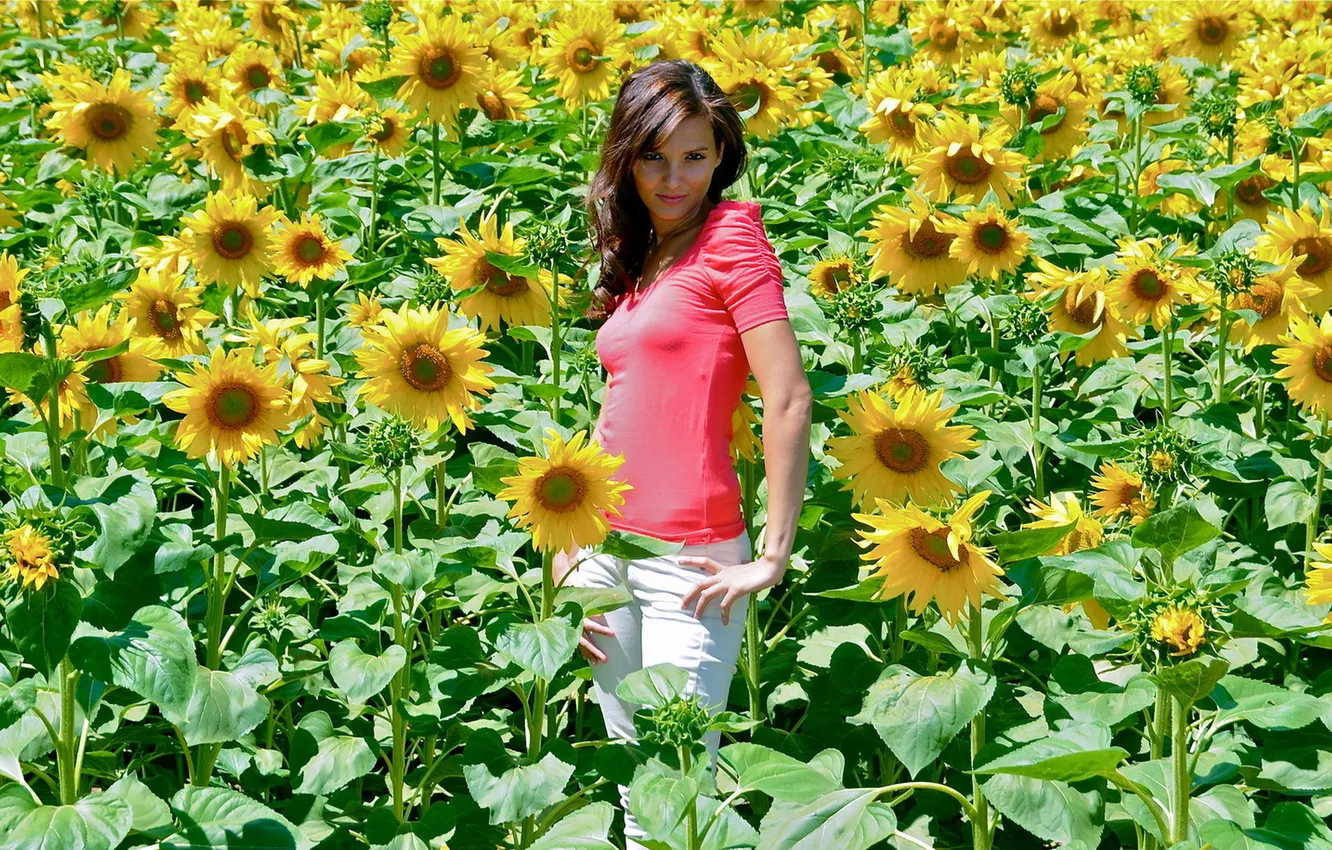 Photo wallpaper summer, girl, sunflowers