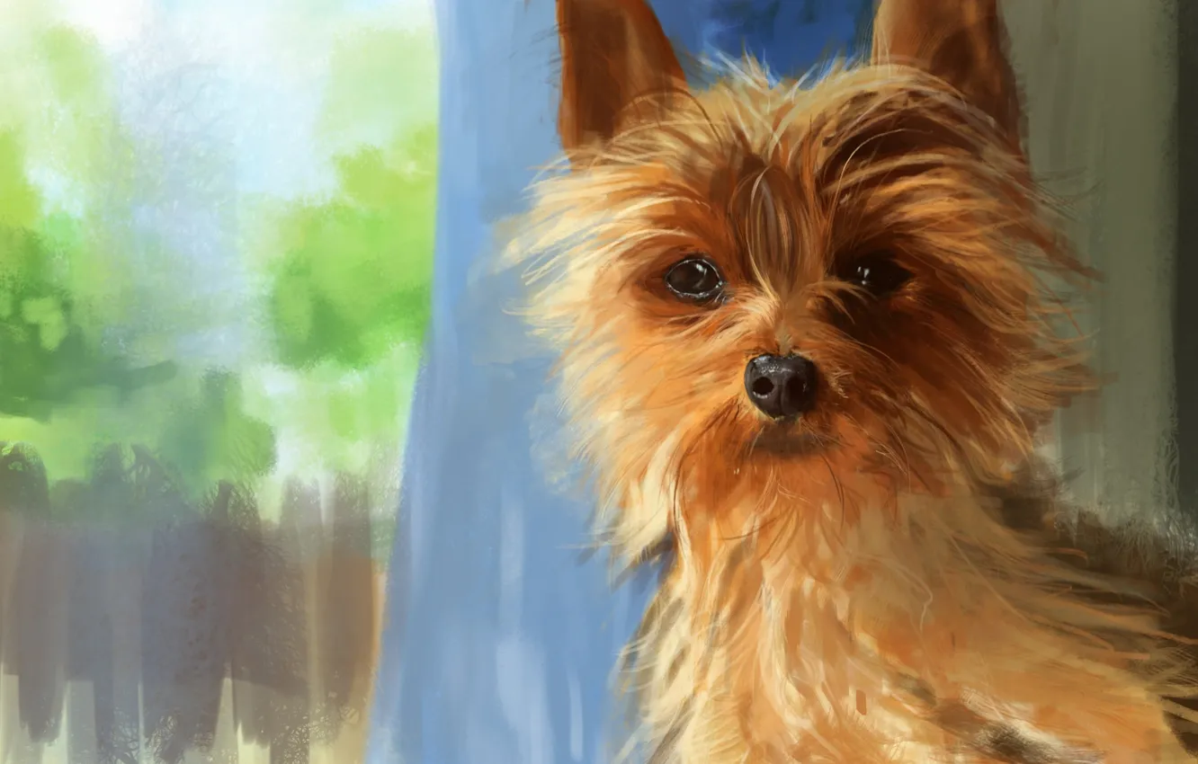 Photo wallpaper look, dog, art, kingcloud