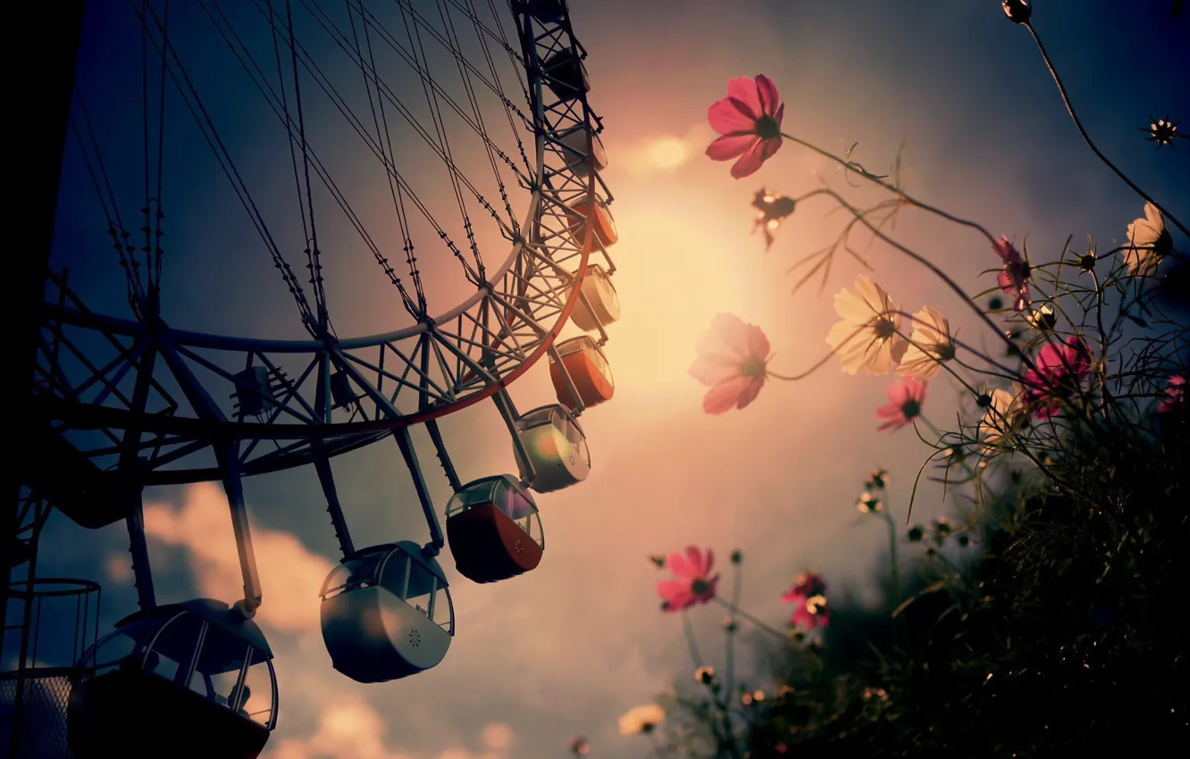 Photo wallpaper flowers, the city, carousel
