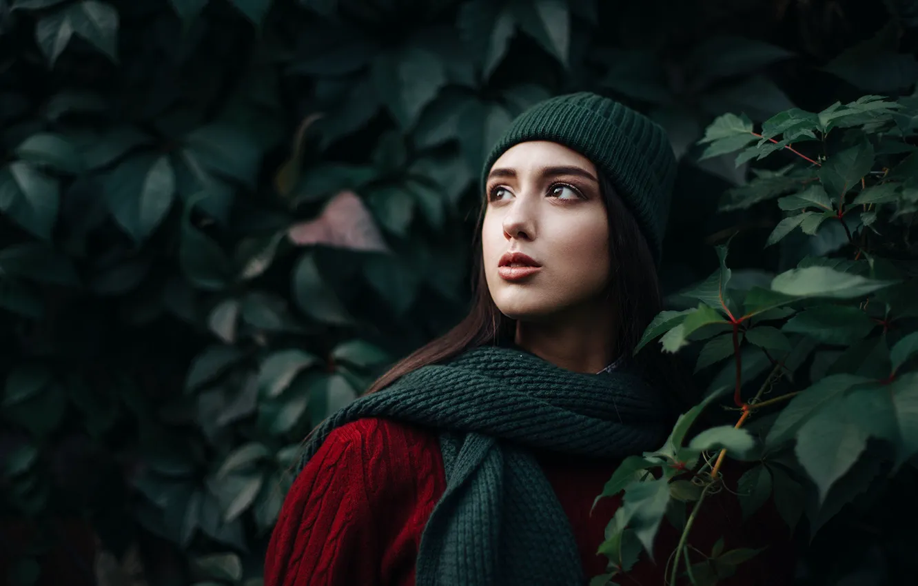 Photo wallpaper greens, hat, scarf, Kustarev Maxim