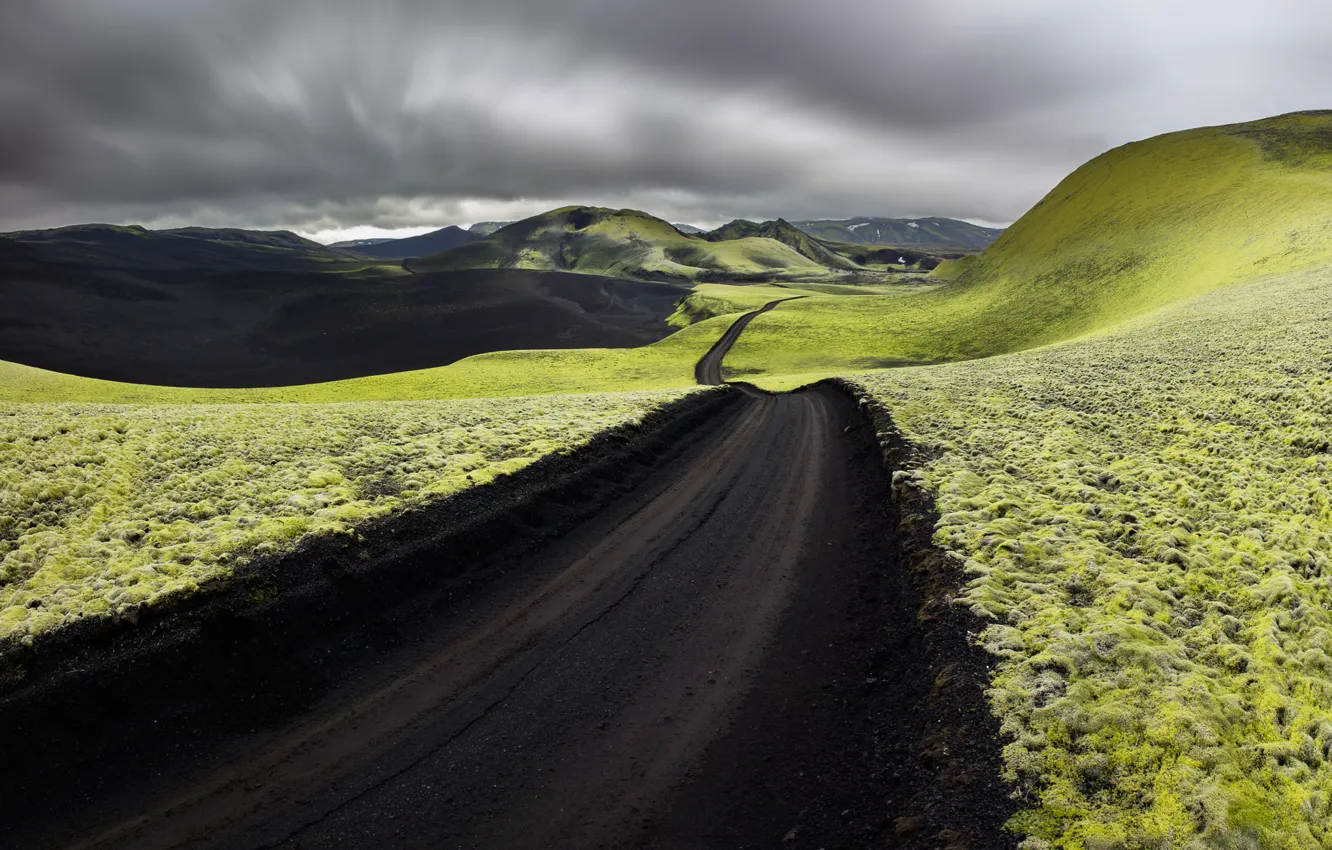Photo wallpaper road, ash, moss, Iceland