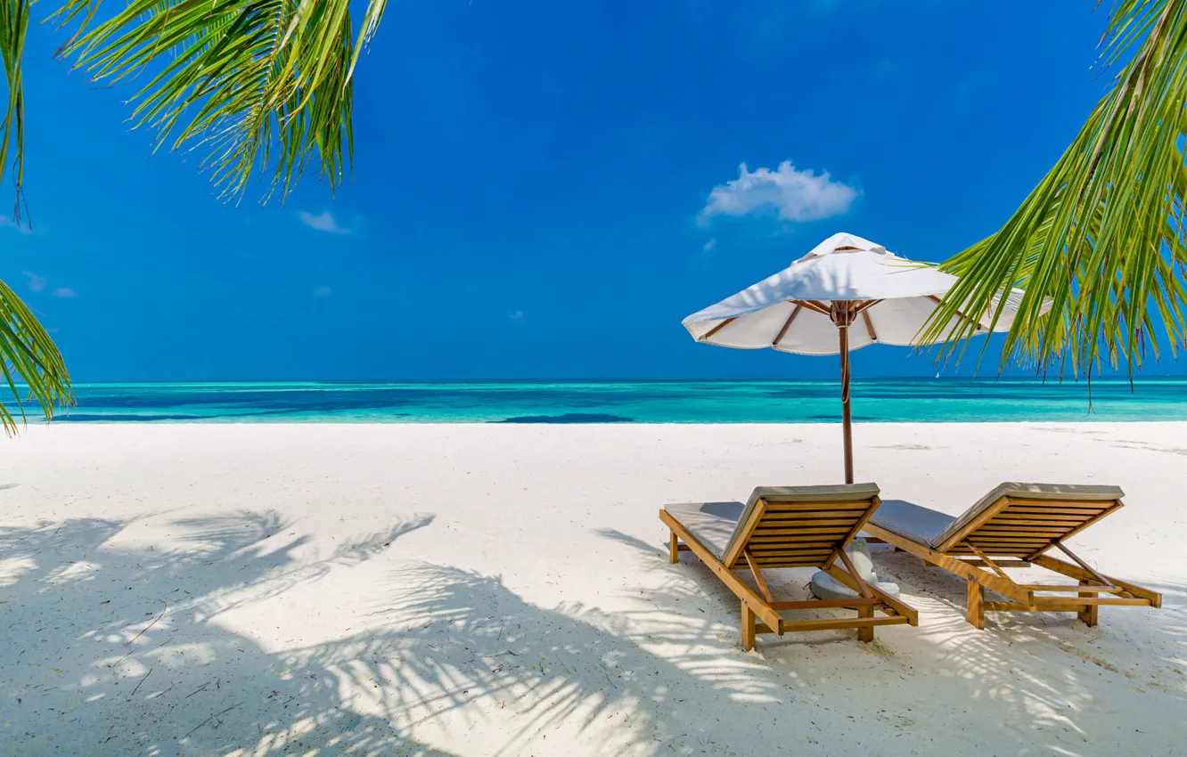 Photo wallpaper sand, sea, beach, summer, the sky, leaves, blue, palm trees