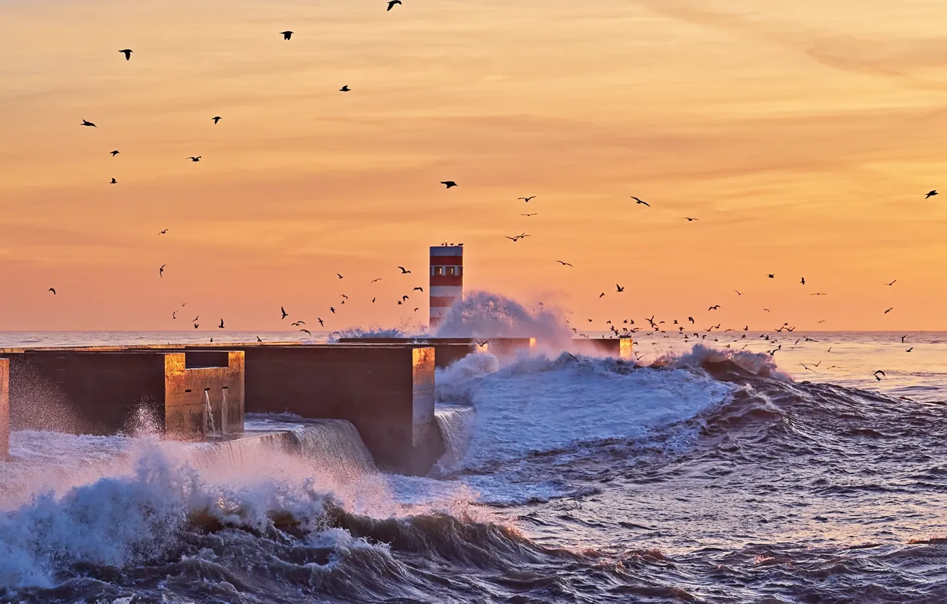 Photo wallpaper sea, wave, Lighthouse, dawn, nature.