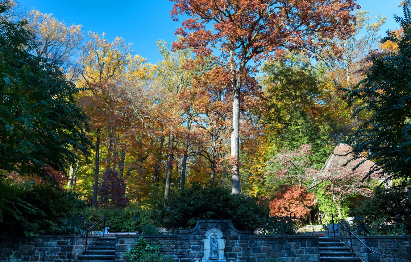 Photo wallpaper autumn, the sun, trees, Park, ladder, USA, the bushes, Nemours Mansion and Gardens