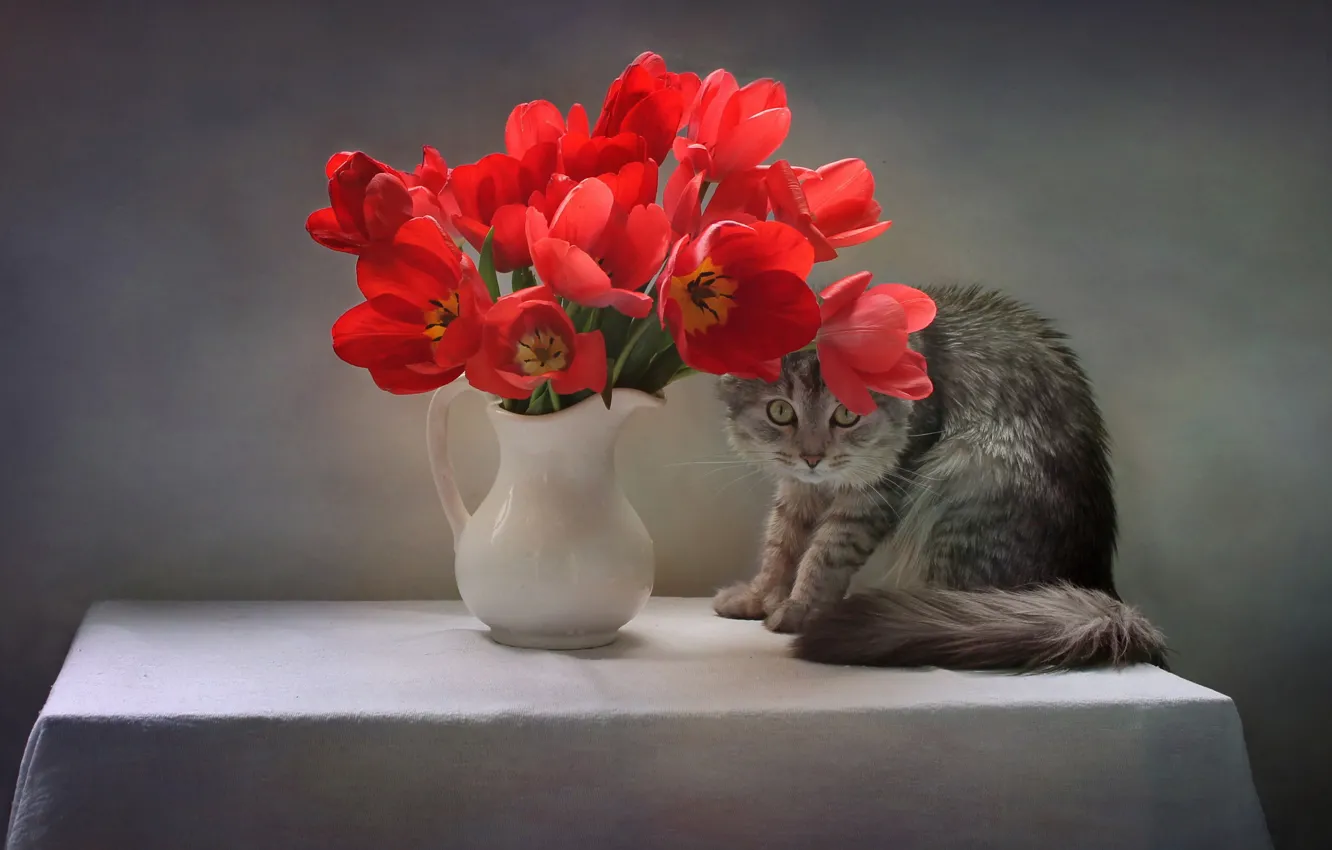 Photo wallpaper cat, cat, flowers, pose, table, animal, tulips, pitcher