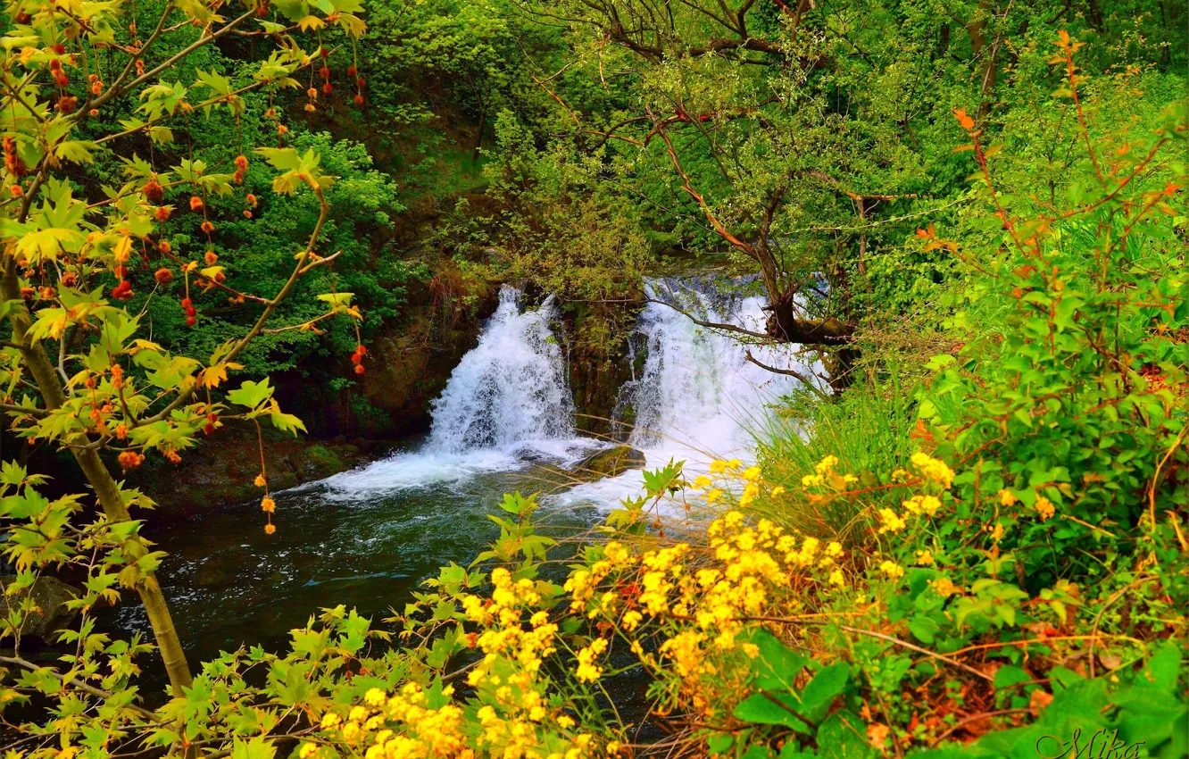 Photo wallpaper Spring, Waterfall, Spring, Waterfall