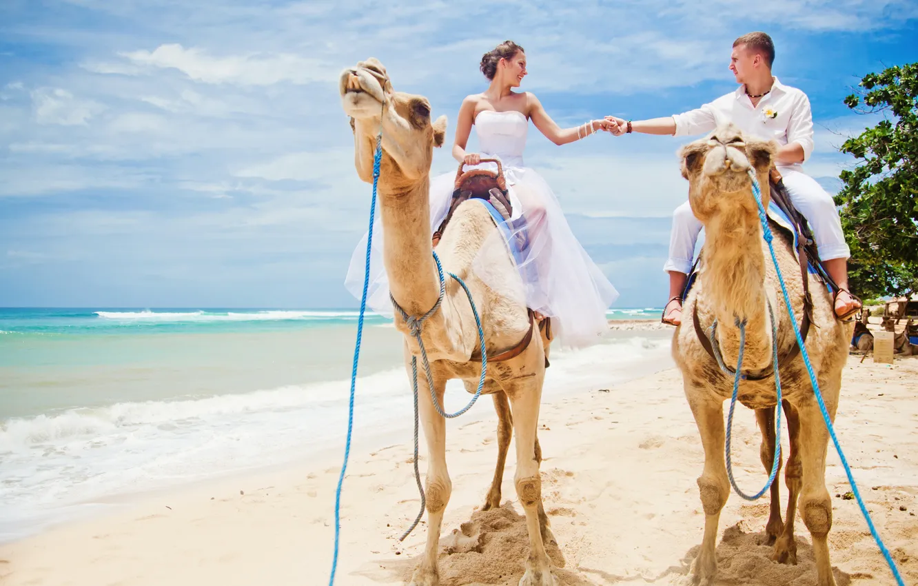 Photo wallpaper sea, beach, walk, camels, a couple in love