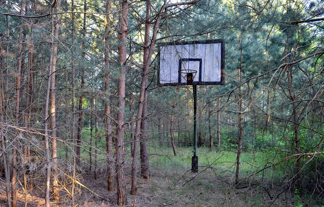 Photo wallpaper sport, Basketball, shield