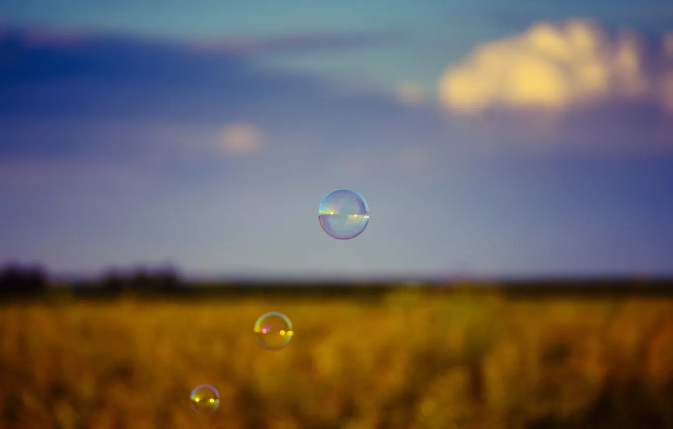 Photo wallpaper bubbles, field, bokeh, countryside, farmland