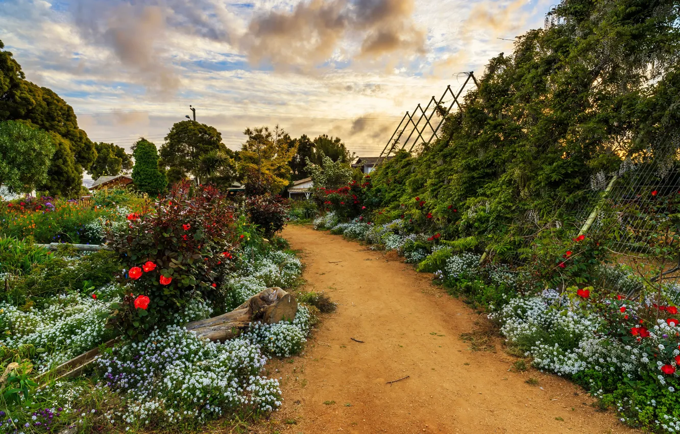 Photo wallpaper the sky, clouds, trees, flowers, garden, track, the bushes, Chile